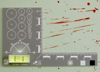 Iceni Forensic Photo Scales - image 2